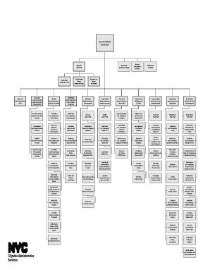 nypd bureaus chart.